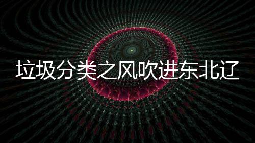 东北之风圾桶垃圾辽宁类垃沈阳四分分类吹进启用