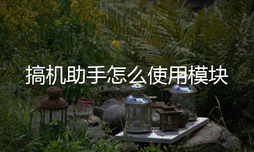 助手怎么使用模块搞机