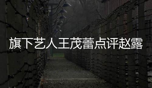 病吧怼王茂评赵正怒蕾点露思你有热闹艺人 于凑旗下